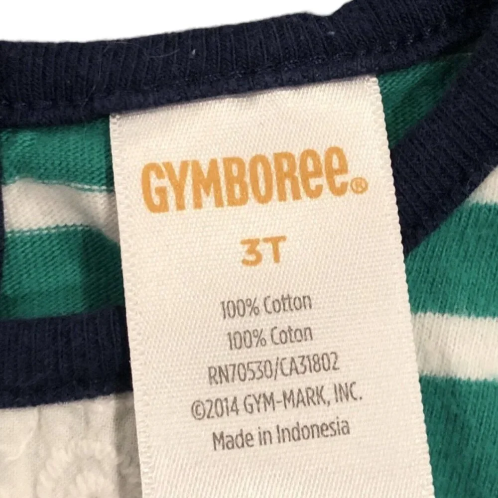 Gymboree 3T Stripes & Eyelet Ruffle Tunic Top